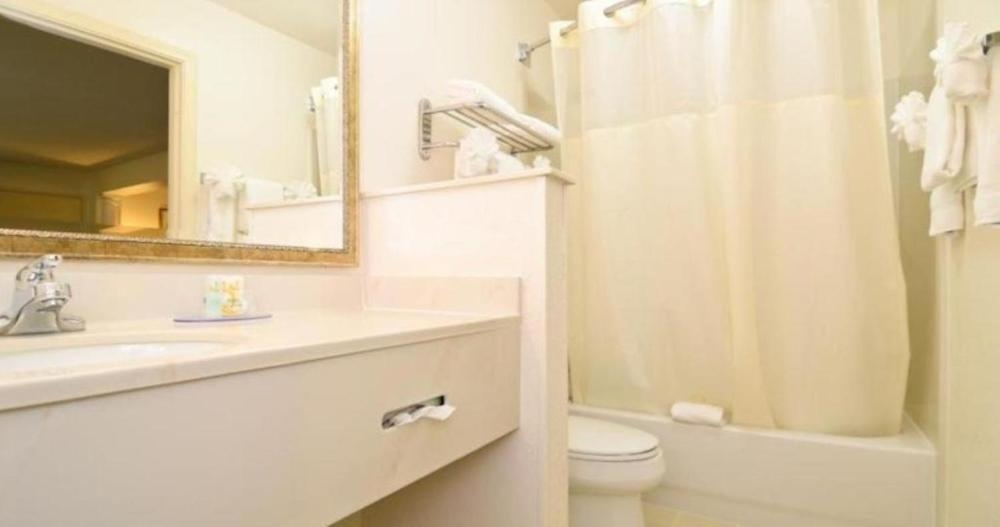 Quality Inn & Suites Biltmore Este Imagen 11
